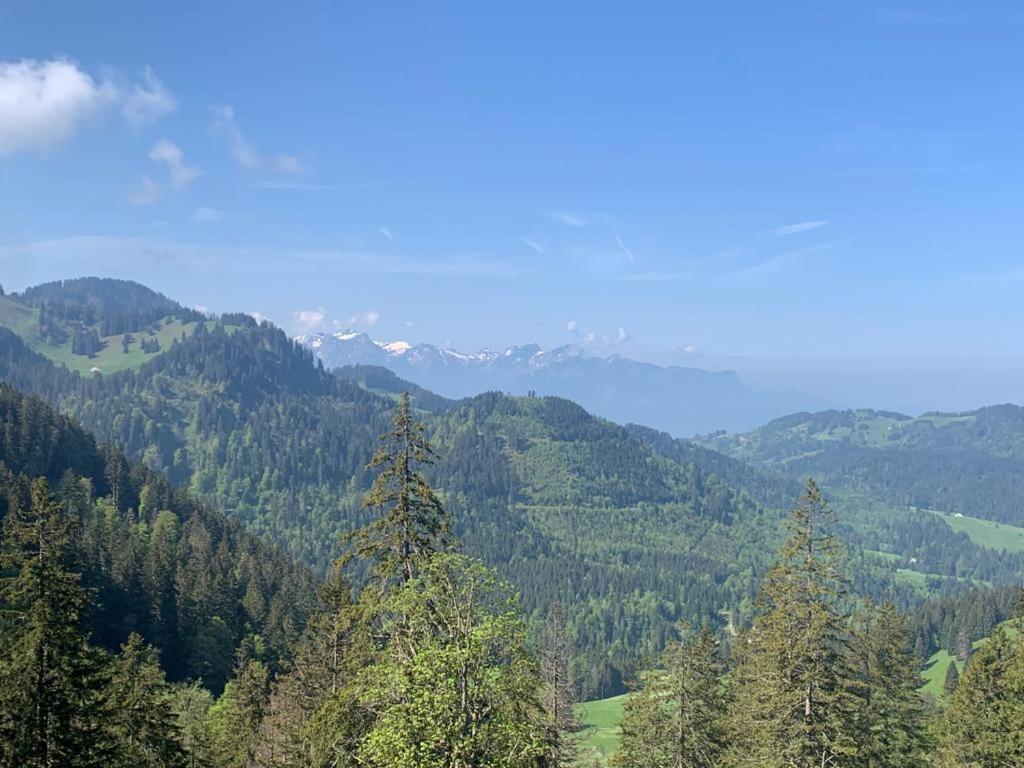 Boutique Hotel Corbetta - Spa 60M2 - La Montagne A 5 Minutes De L'Autoroute A12 Aux Paccots Sur Montreux - Nouveau Loft Familial - Profitez Du Lac Leman Et Des Montagnes En Meme Temps Les Paccots Exteriör bild