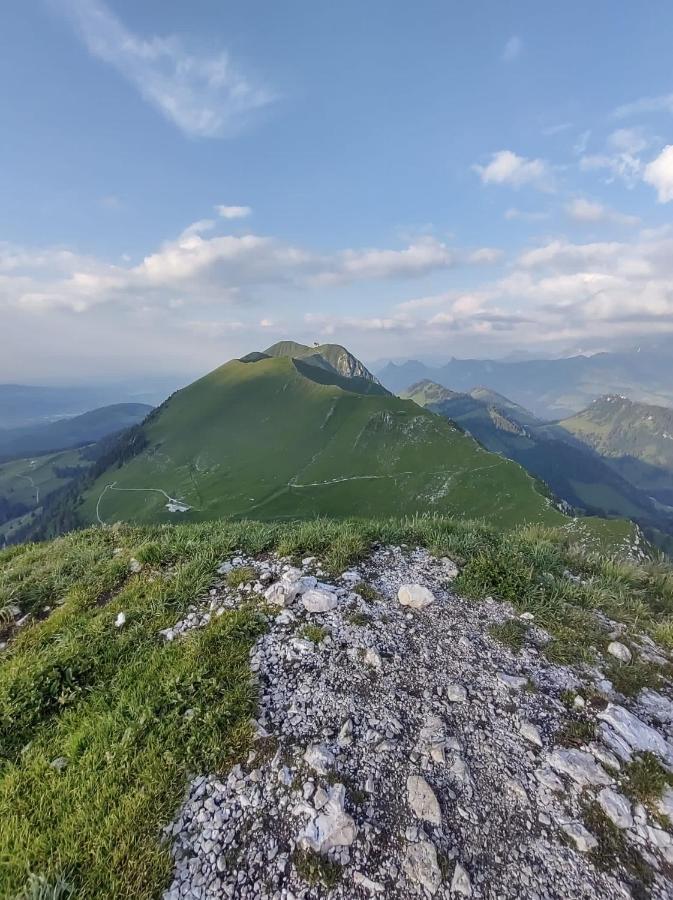 Boutique Hotel Corbetta - Spa 60M2 - La Montagne A 5 Minutes De L'Autoroute A12 Aux Paccots Sur Montreux - Nouveau Loft Familial - Profitez Du Lac Leman Et Des Montagnes En Meme Temps Les Paccots Exteriör bild